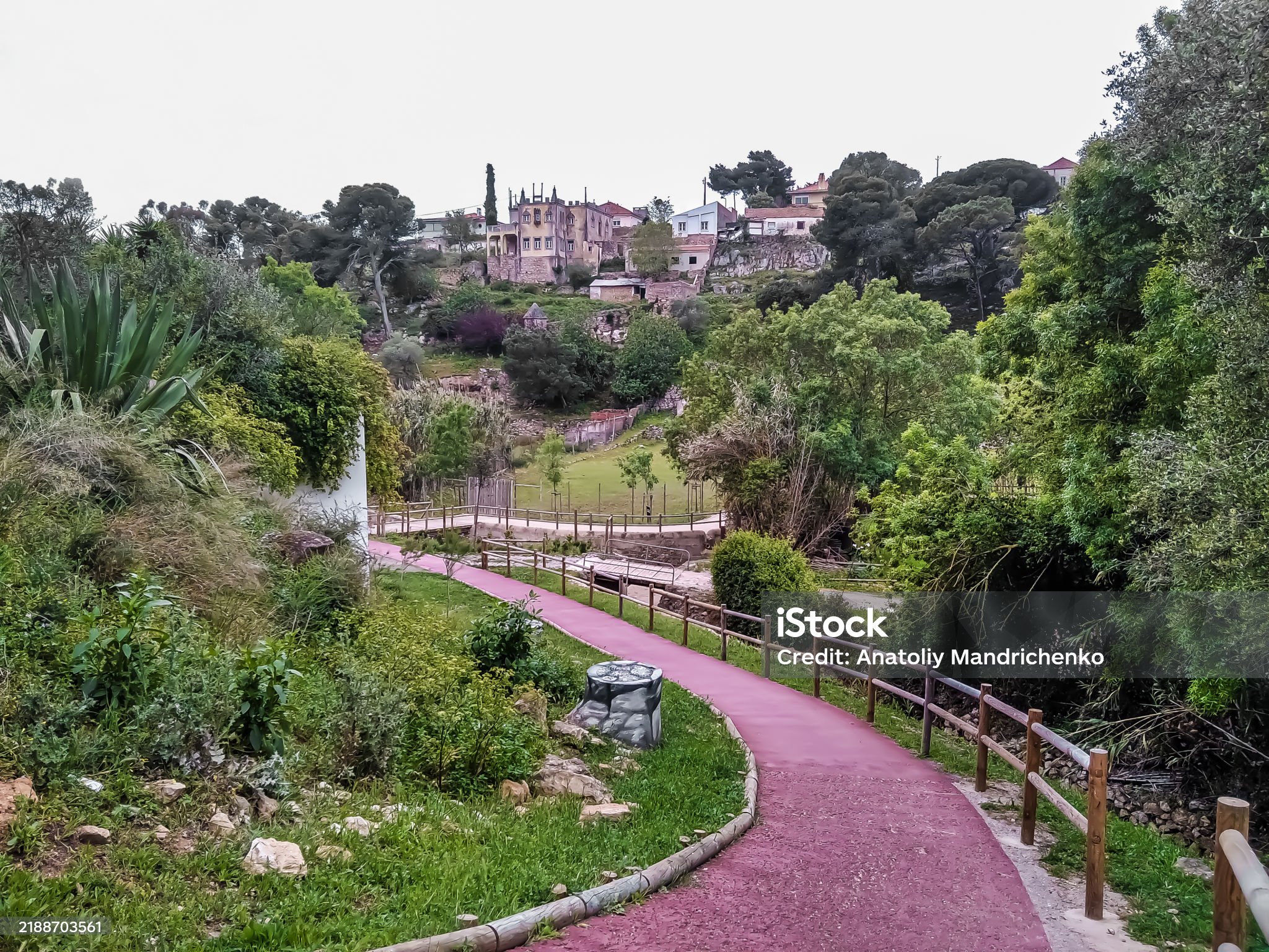 Camí envoltat de cactus